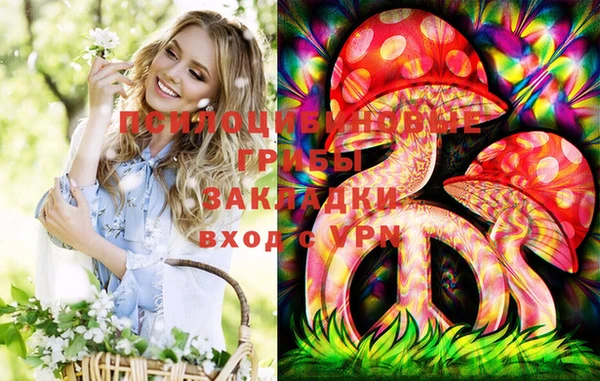 PSILOCYBIN Абаза