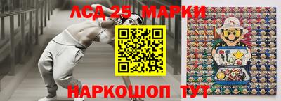 индика Камышлов