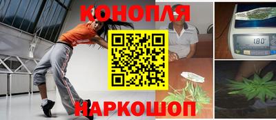 индика Камышлов
