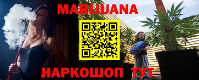 индика Камышлов