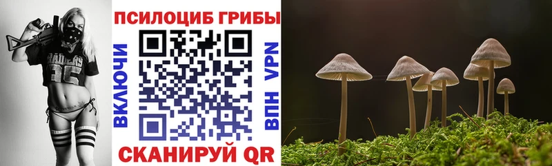 купить   Мирный  Галлюциногенные грибы ЛСД 