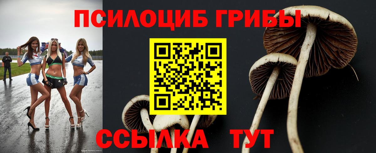 Мирный  Галлюциногенные грибы прущие грибы  Вход с VPN  Галлюциногенные грибы мицелий 