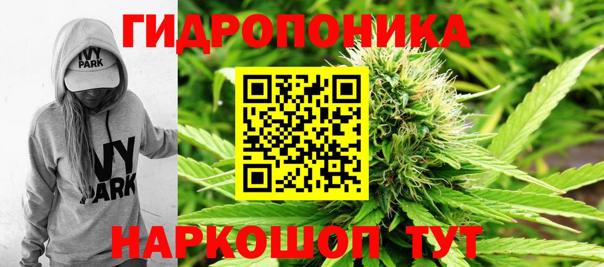 Мирный  Каннабис марихуана  Бошки Шишки SATIVA & INDICA  Каннабис AK-47  Вход с VPN  Конопля OG Kush 